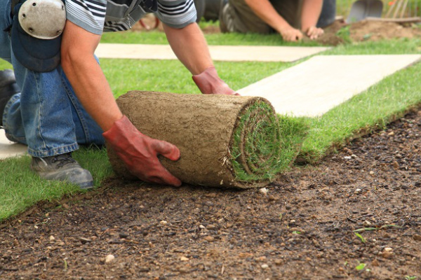 Natural Grass Installation